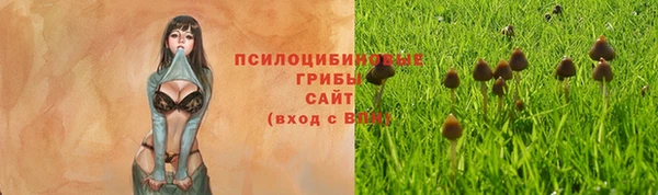герыч Тавда