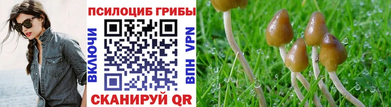 Псилоцибиновые грибы Psilocybe  купить наркотик  Славянск-на-Кубани 